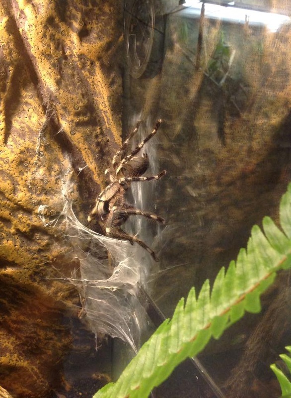 Perry’s Bridge Reptile Park