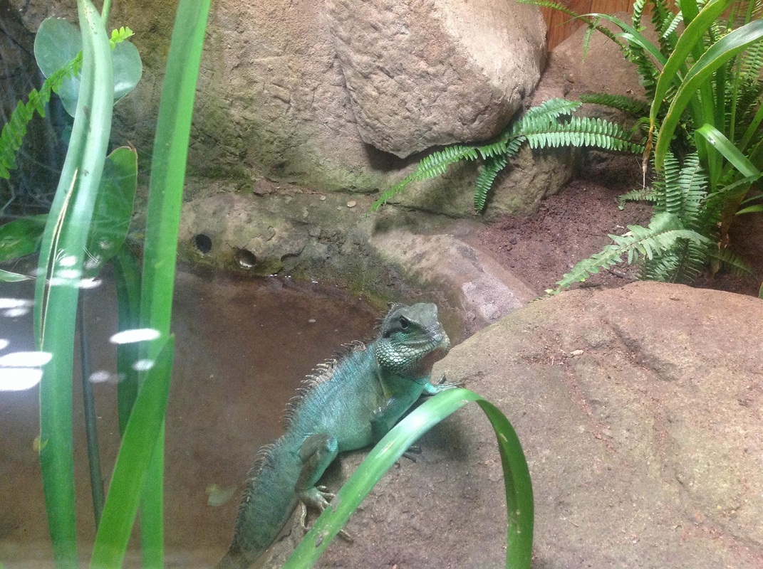 Perry’s Bridge Reptile Park