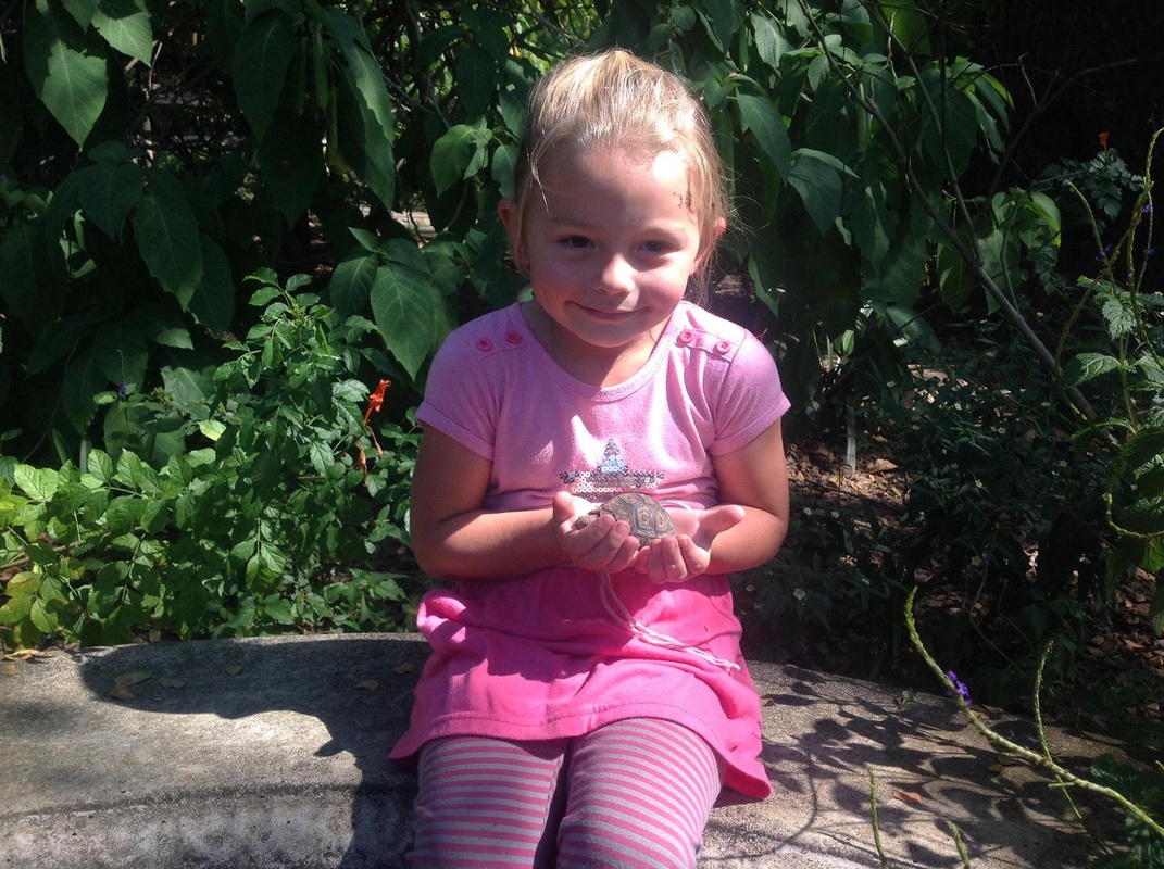 Perry’s Bridge Reptile Park