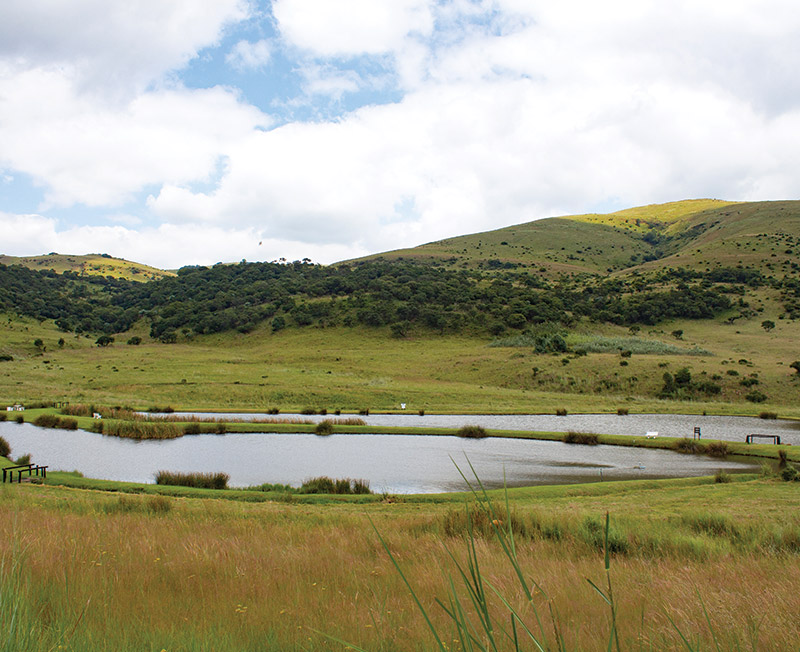 Doornkop Fish and Wildlife Reserve