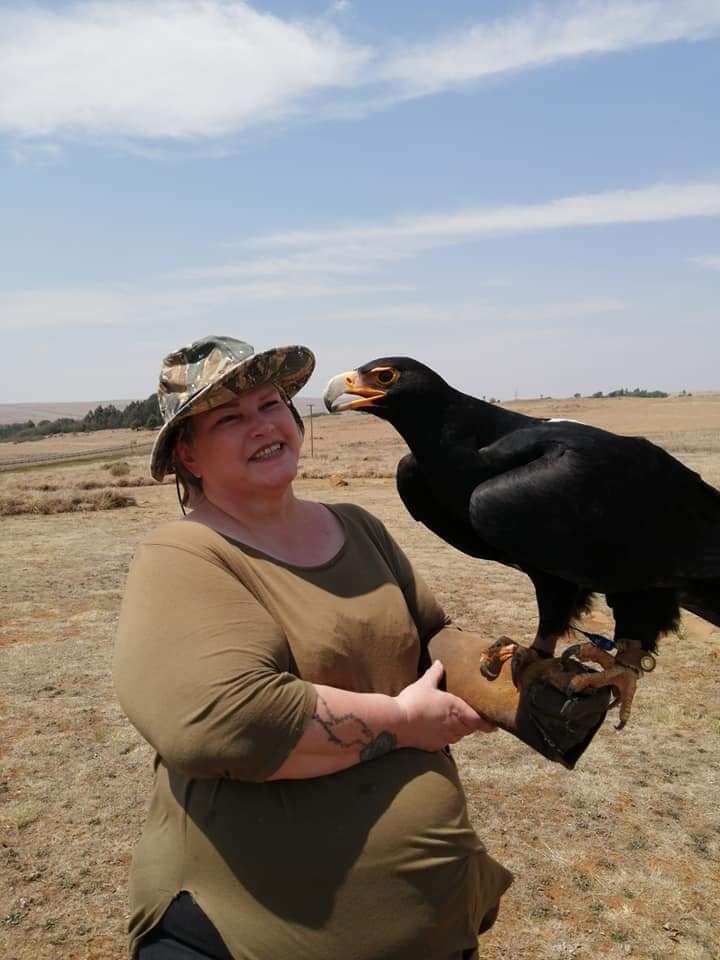 Highlight: Dullstroom Bird of Prey Centre