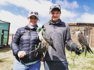 Dullstroom Bird of Prey and Rehabilitation Centre