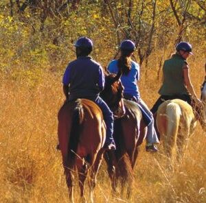 horse riding trail in hazyview monday & thursday special
