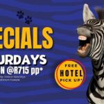 kruger park afternoon safari saturday special