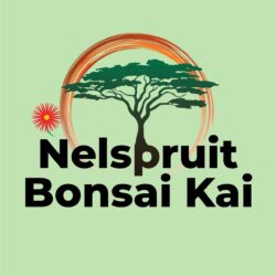 Nelspruit Bonsai Kai