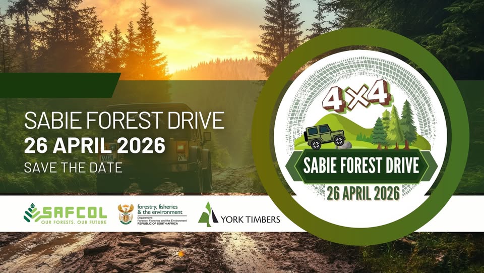 4x4 sabie forest drive