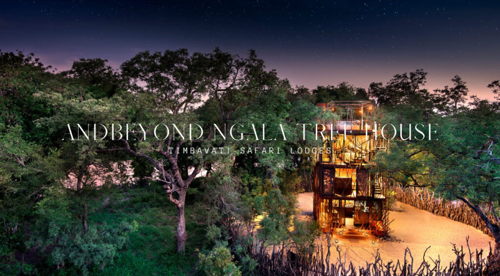 andbeyond ngala tree house