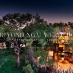 andbeyond ngala tree house