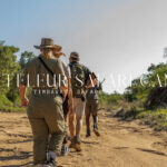 bateleur safari camp
