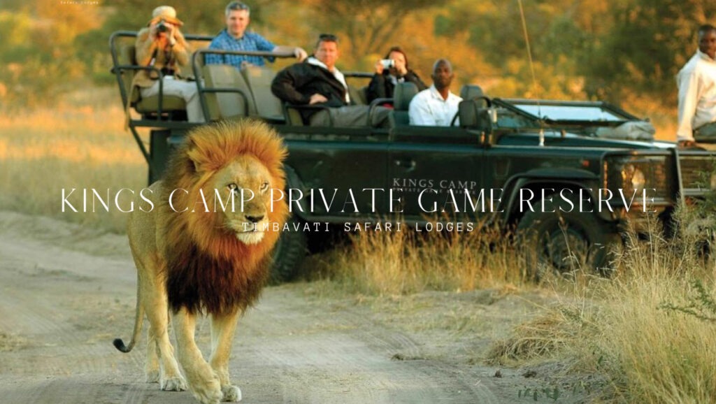 kings camp private game reserve