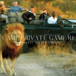 kings camp private game reserve