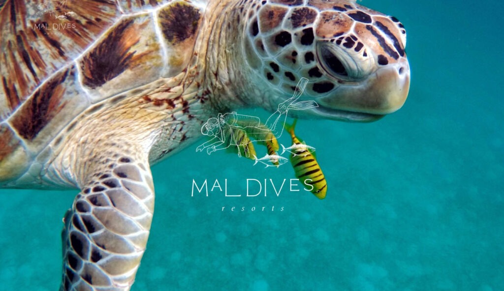 maldives resorts