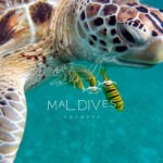 maldives resorts