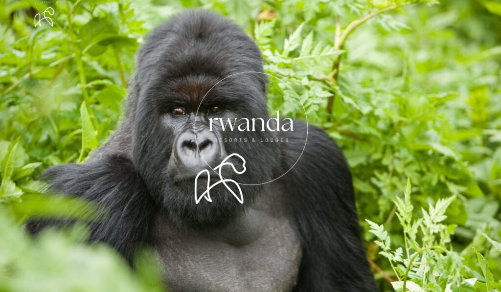 rwanda resorts & lodges