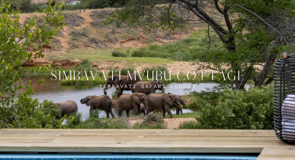 simbavati mvubu cottage