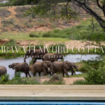 simbavati mvubu cottage