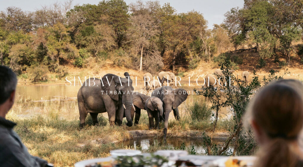 simbavati river lodge