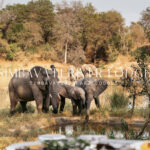 simbavati river lodge