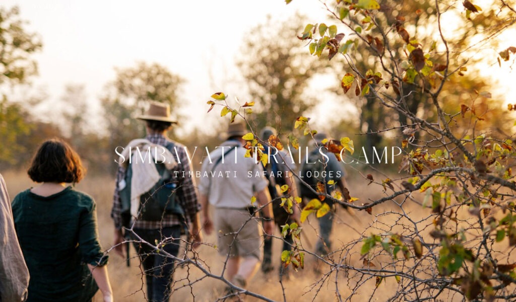 simbavati trails camp