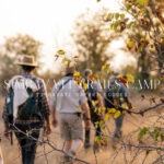 simbavati trails camp
