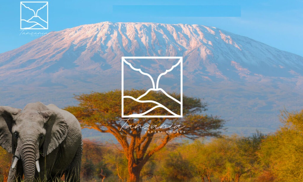 tanzania safari lodges