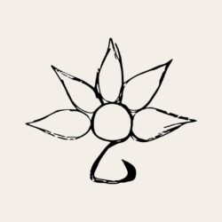 Virtual Bloom - Creative Hub
