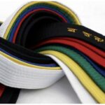 lowveld karate grading
