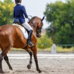 young girl on bay horse performing her dressage test