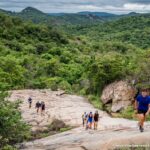 tomjachu trail run 6 km 12 km 20 km