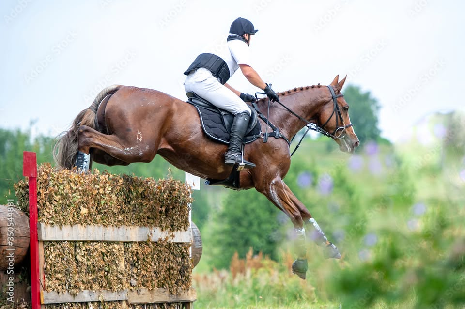 ultimate eventer experience + 1 day eventing show