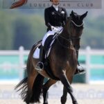 dressage & showing series q2