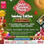 giant blanket picnic