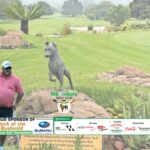 58th subaru jock of the bushveld amateur golf tournament 2026