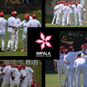 impala cricket club golf day 2026