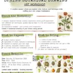 spring botanical drawing art workshop