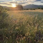kudu trail run