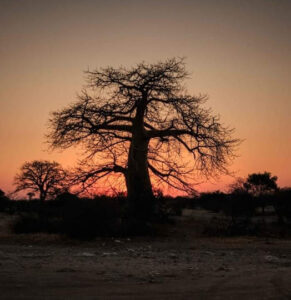 sunset 2