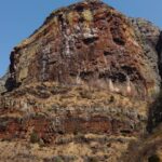 cape vulture trail run