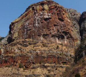 cape vulture trail run