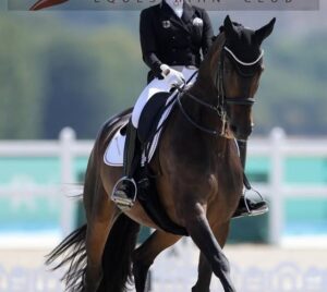 dressage & showing series q2
