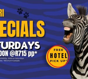 kruger park afternoon safari saturday special