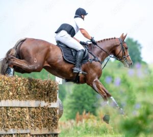 ultimate eventer experience + 1 day eventing show